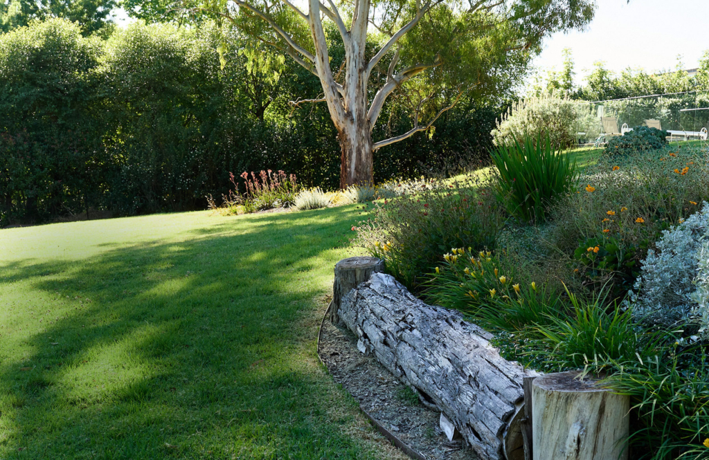 Garden-Design-PXL_20260309_210509535